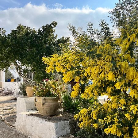 Syconium Trullo And Lamia Gea Charme And History Ξενοδοχείο Ostuni Εξωτερικό φωτογραφία