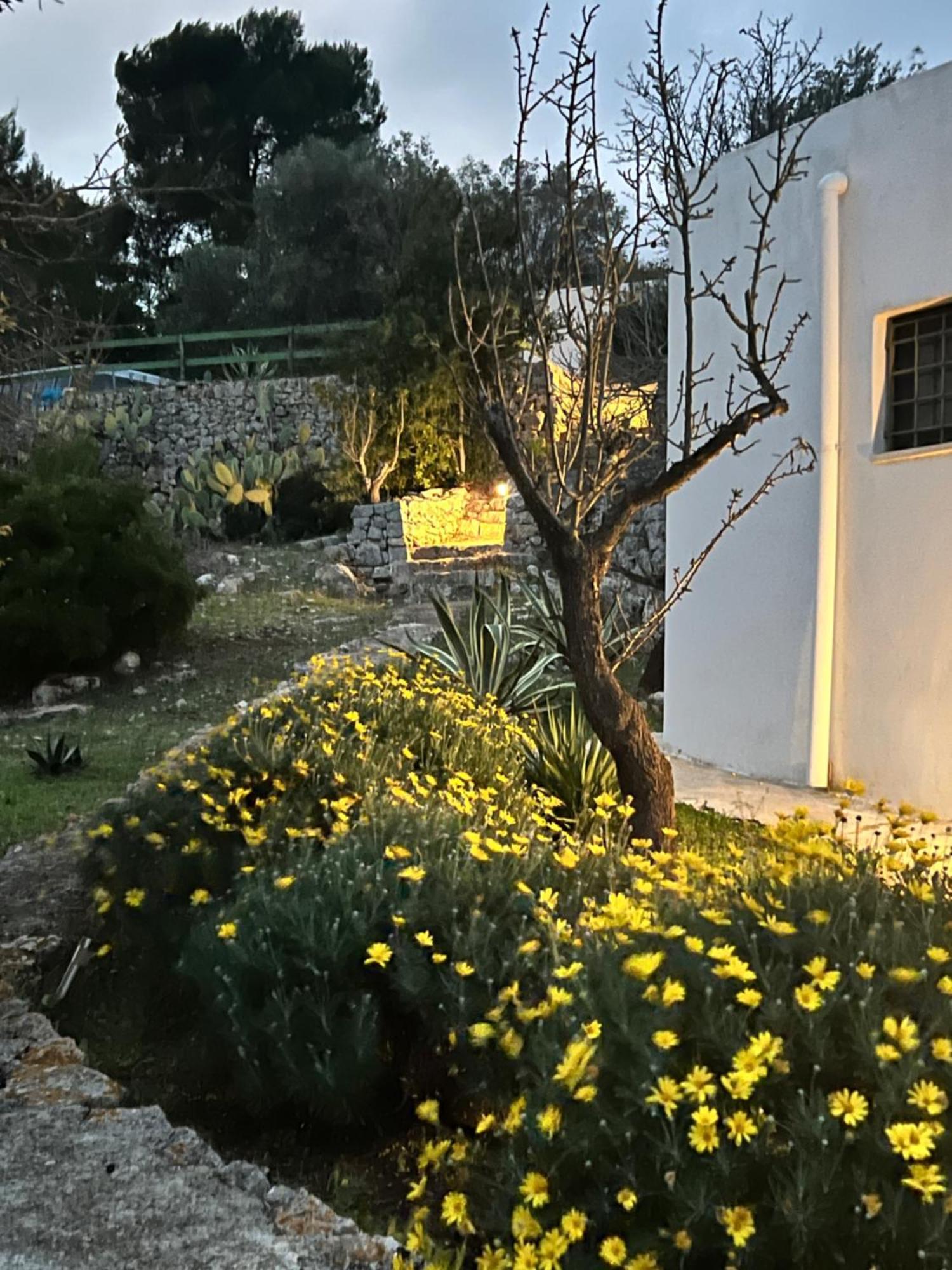 Syconium Trullo And Lamia Gea Charme And History Ξενοδοχείο Ostuni Εξωτερικό φωτογραφία